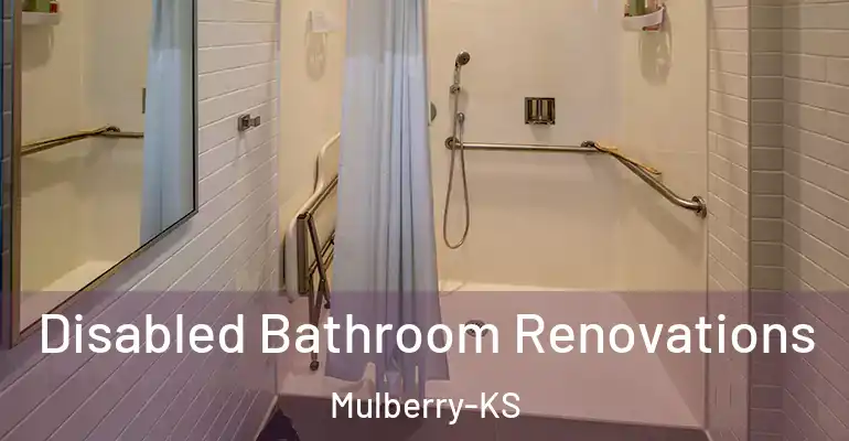 inner Bathroom imggen Disabled Bathroom Renovations Mulberry-KS