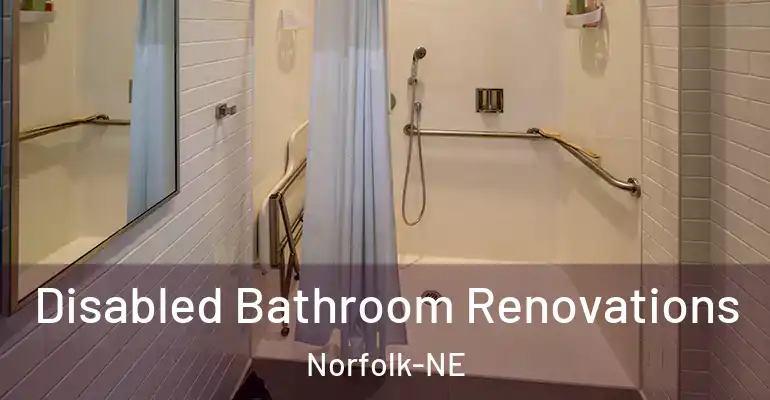 inner Bathroom imggen Disabled Bathroom Renovations Norfolk-NE