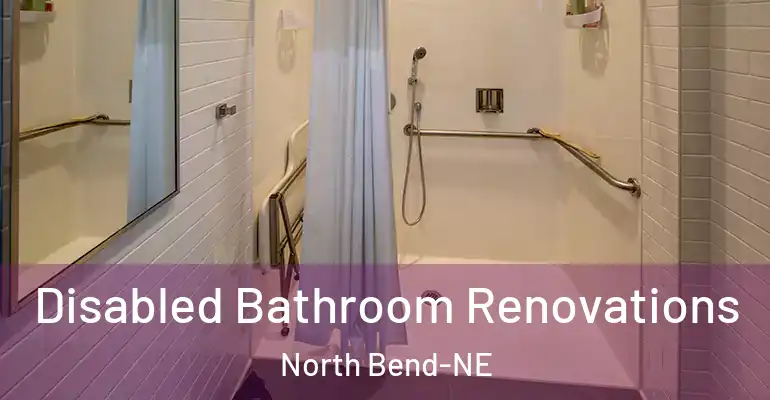 inner Bathroom imggen Disabled Bathroom Renovations North Bend-NE