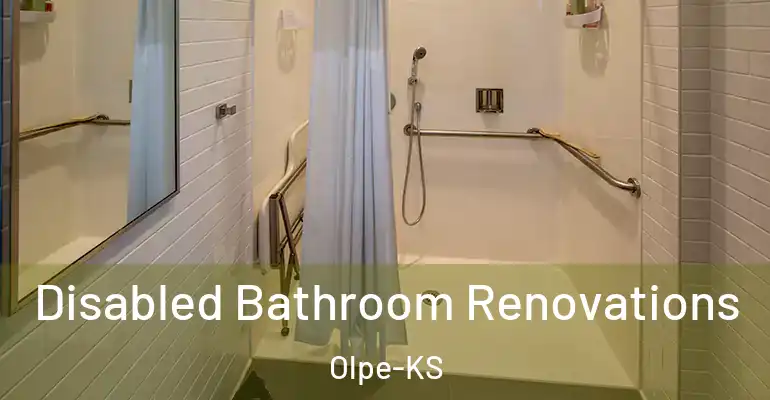inner Bathroom imggen Disabled Bathroom Renovations Olpe-KS