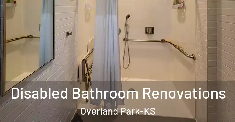 inner Bathroom imggen Disabled Bathroom Renovations Overland Park-KS