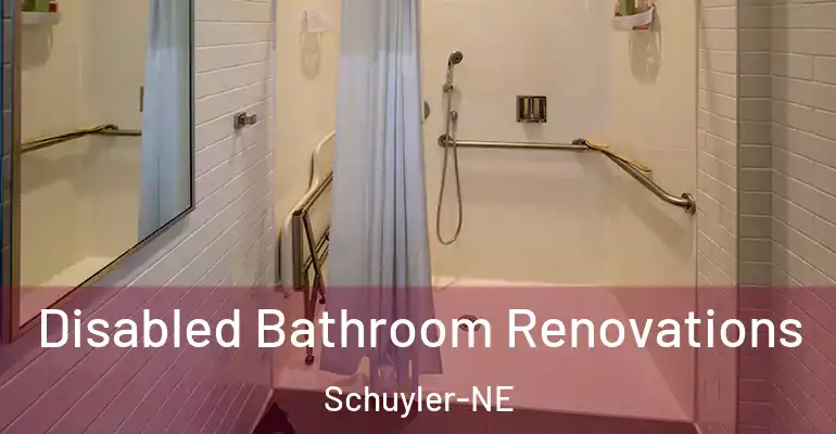 inner Bathroom imggen Disabled Bathroom Renovations Schuyler-NE