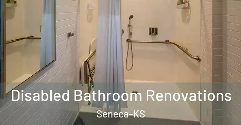 inner Bathroom imggen Disabled Bathroom Renovations Seneca-KS