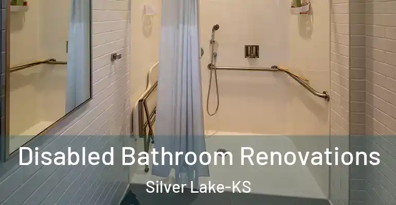 inner Bathroom imggen Disabled Bathroom Renovations Silver Lake-KS