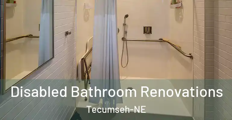 inner Bathroom imggen Disabled Bathroom Renovations Tecumseh-NE