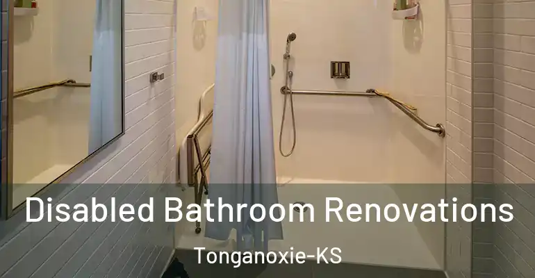 inner Bathroom imggen Disabled Bathroom Renovations Tonganoxie-KS