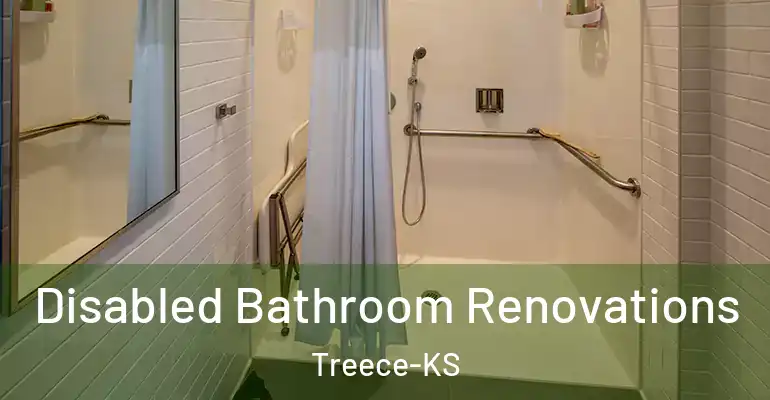 inner Bathroom imggen Disabled Bathroom Renovations Treece-KS