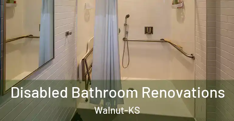 inner Bathroom imggen Disabled Bathroom Renovations Walnut-KS