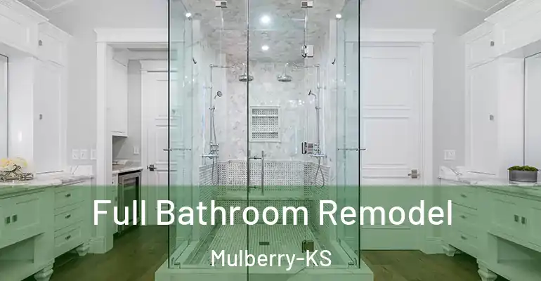 inner Bathroom imggen Full Bathroom Remodel Mulberry-KS