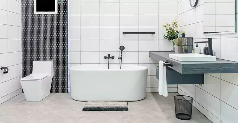 Bathroom Leak Repair in Arma