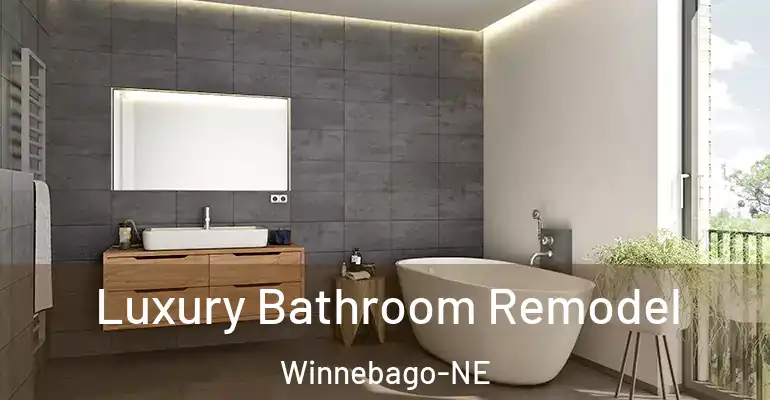 inner Bathroom imggen Luxury Bathroom Remodel Winnebago-NE