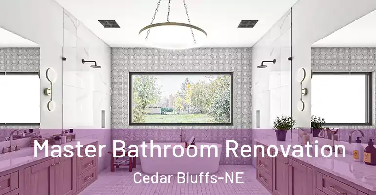 inner Bathroom imggen Master Bathroom Renovation Cedar Bluffs-NE