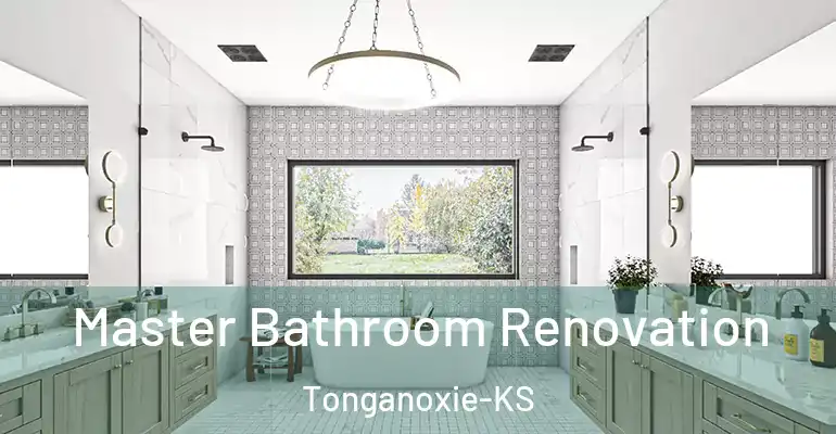 inner Bathroom imggen Master Bathroom Renovation Tonganoxie-KS