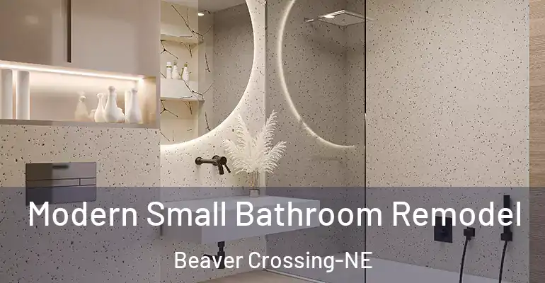 inner Bathroom imggen Modern Small Bathroom Remodel Beaver Crossing-NE
