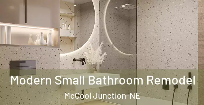 inner Bathroom imggen Modern Small Bathroom Remodel McCool Junction-NE