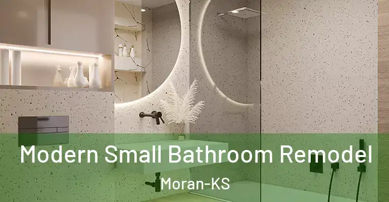 inner Bathroom imggen Modern Small Bathroom Remodel Moran-KS
