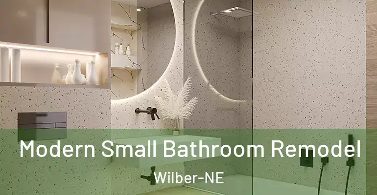 inner Bathroom imggen Modern Small Bathroom Remodel Wilber-NE