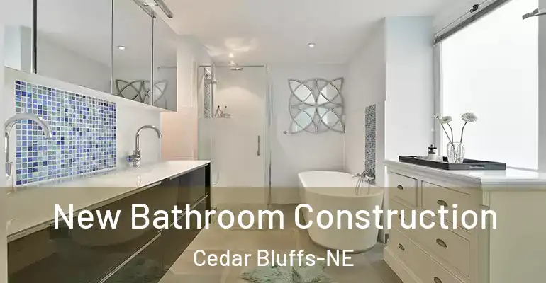 inner Bathroom imggen New Bathroom Construction Cedar Bluffs-NE
