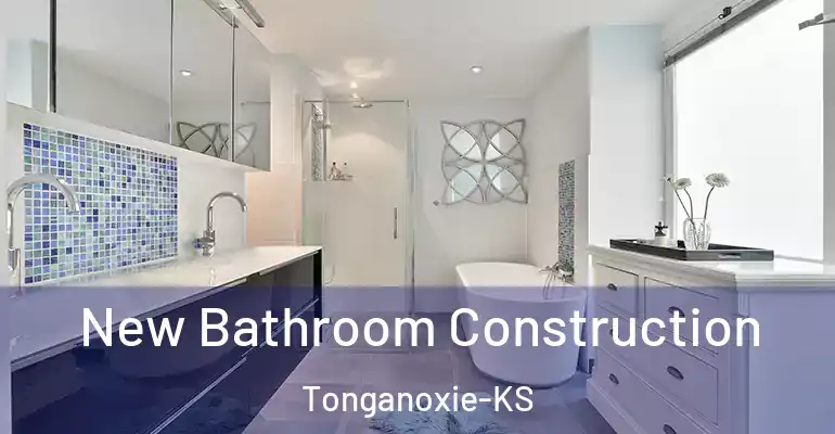 inner Bathroom imggen New Bathroom Construction Tonganoxie-KS