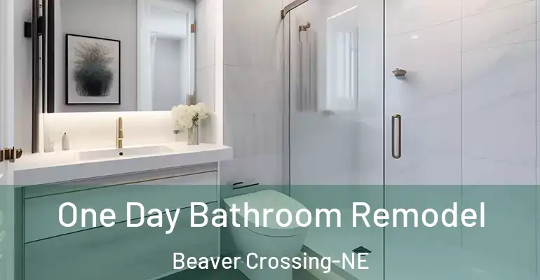 inner Bathroom imggen One Day Bathroom Remodel Beaver Crossing-NE