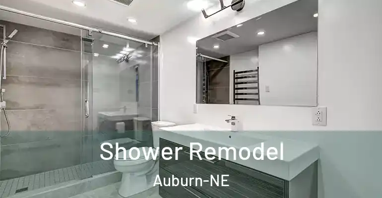 inner Bathroom imggen Shower Remodel Auburn-NE