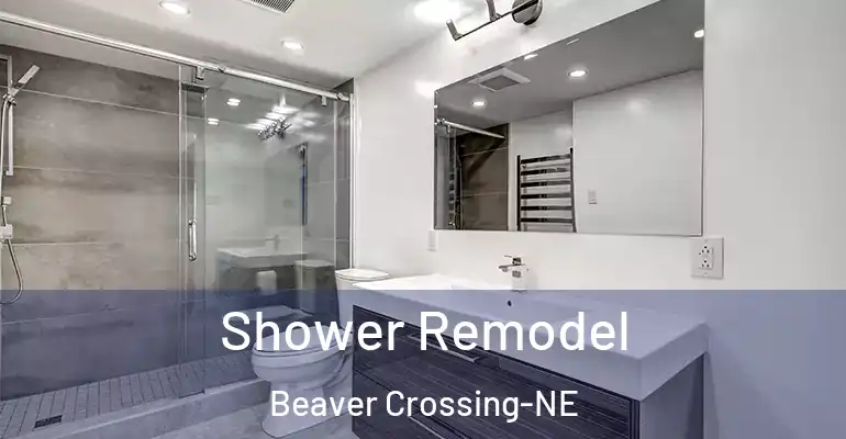 inner Bathroom imggen Shower Remodel Beaver Crossing-NE