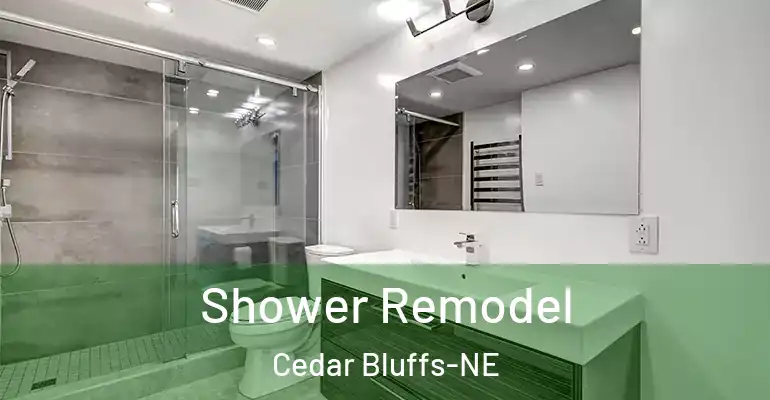 inner Bathroom imggen Shower Remodel Cedar Bluffs-NE