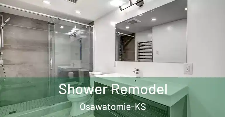 inner Bathroom imggen Shower Remodel Osawatomie-KS