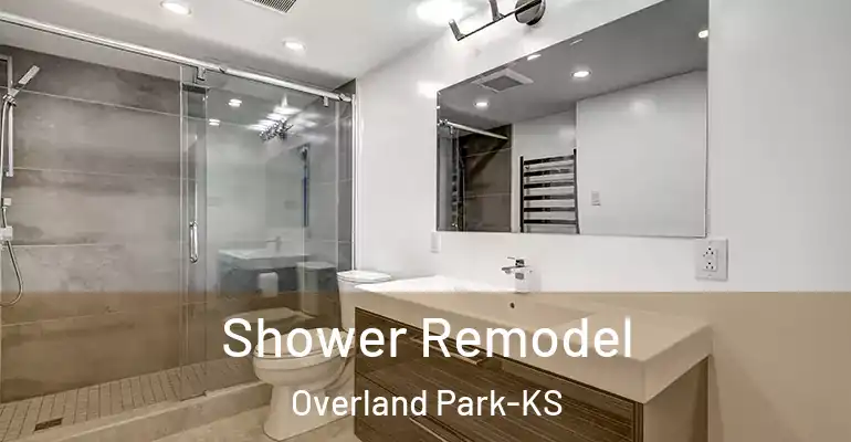 inner Bathroom imggen Shower Remodel Overland Park-KS