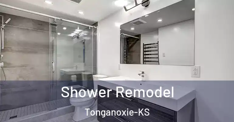inner Bathroom imggen Shower Remodel Tonganoxie-KS