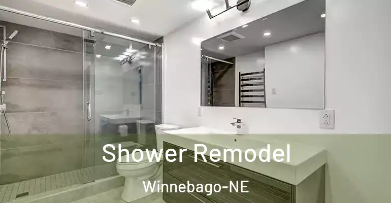 inner Bathroom imggen Shower Remodel Winnebago-NE