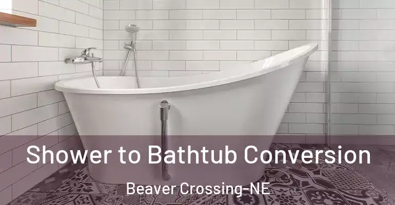inner Bathroom imggen Shower to Bathtub Conversion Beaver Crossing-NE