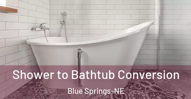 inner Bathroom imggen Shower to Bathtub Conversion Blue Springs-NE
