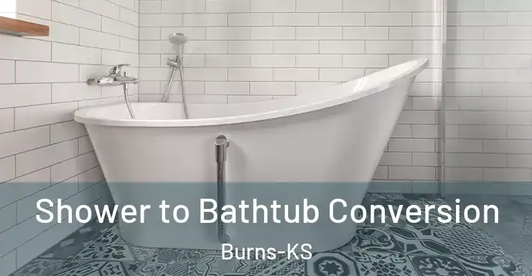 inner Bathroom imggen Shower to Bathtub Conversion Burns-KS