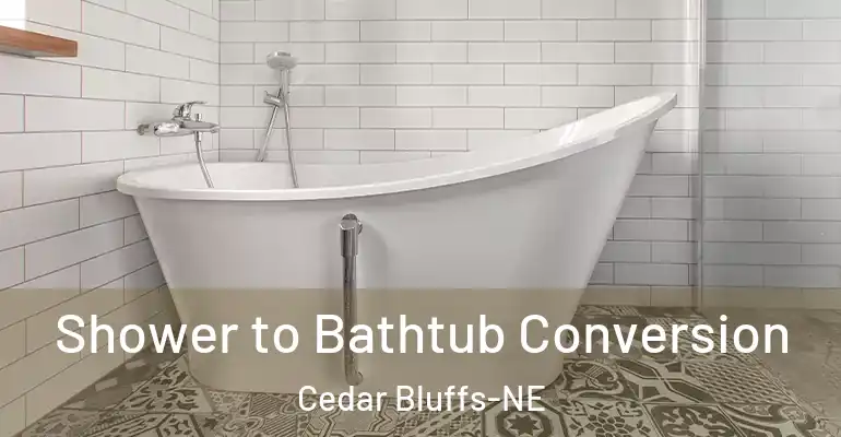 inner Bathroom imggen Shower to Bathtub Conversion Cedar Bluffs-NE