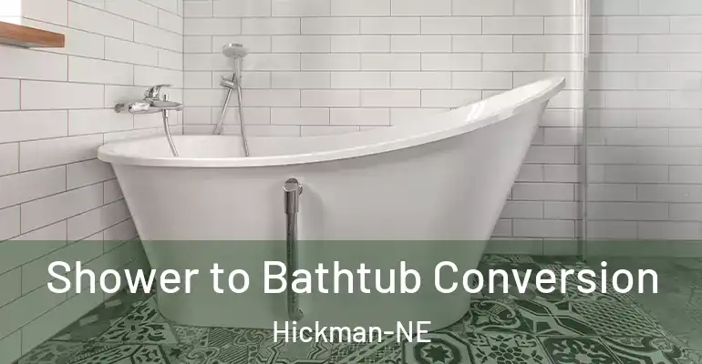 inner Bathroom imggen Shower to Bathtub Conversion Hickman-NE