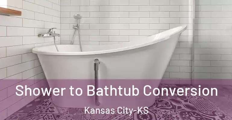 inner Bathroom imggen Shower to Bathtub Conversion Kansas City-KS