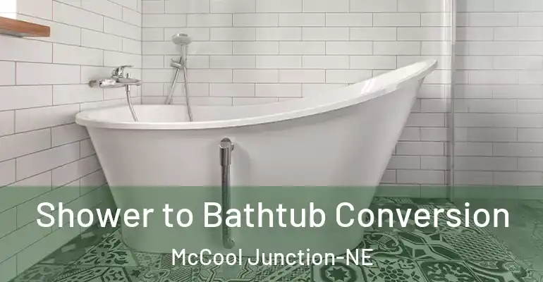 inner Bathroom imggen Shower to Bathtub Conversion McCool Junction-NE