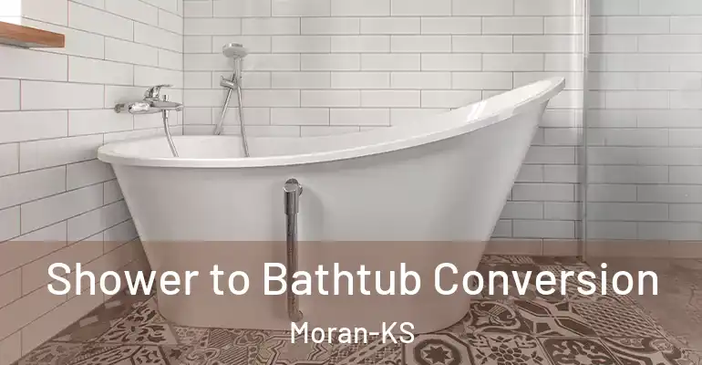 inner Bathroom imggen Shower to Bathtub Conversion Moran-KS