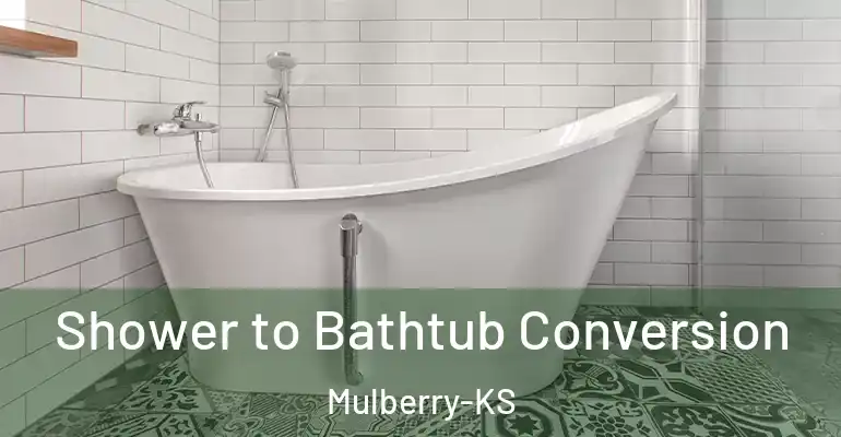 inner Bathroom imggen Shower to Bathtub Conversion Mulberry-KS