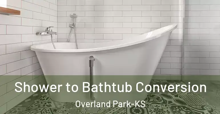 inner Bathroom imggen Shower to Bathtub Conversion Overland Park-KS