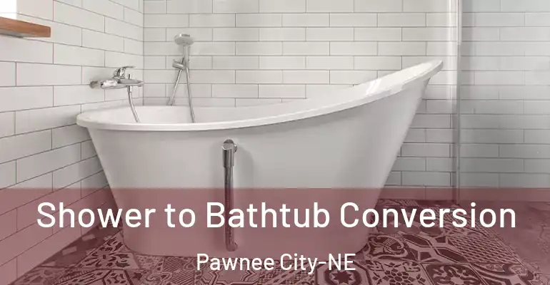 inner Bathroom imggen Shower to Bathtub Conversion Pawnee City-NE