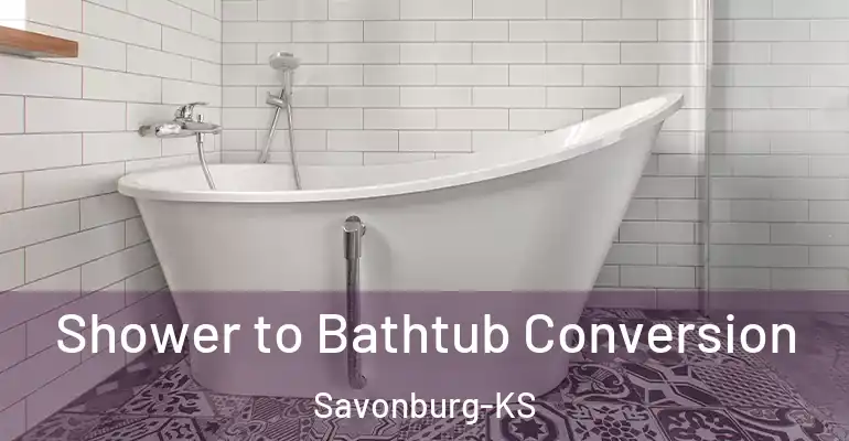 inner Bathroom imggen Shower to Bathtub Conversion Savonburg-KS