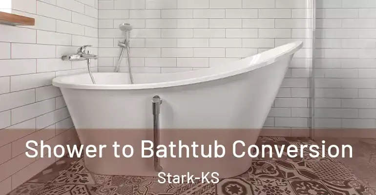 inner Bathroom imggen Shower to Bathtub Conversion Stark-KS