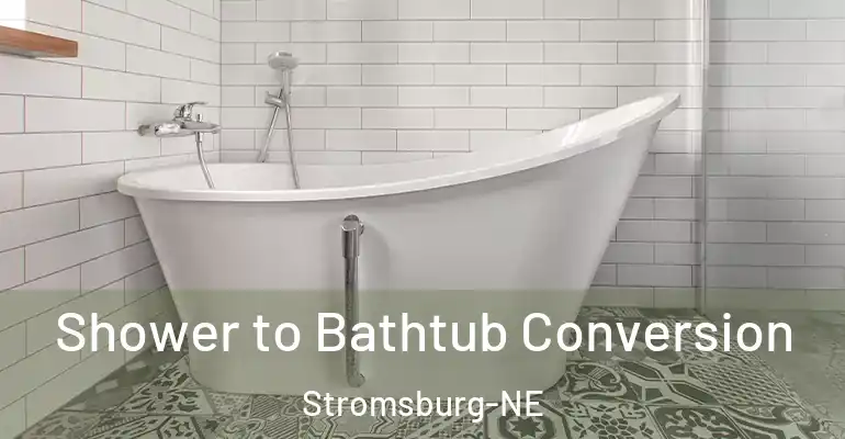 inner Bathroom imggen Shower to Bathtub Conversion Stromsburg-NE