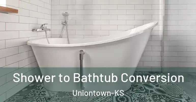 inner Bathroom imggen Shower to Bathtub Conversion Uniontown-KS