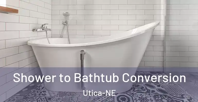 inner Bathroom imggen Shower to Bathtub Conversion Utica-NE