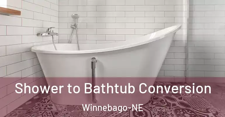 inner Bathroom imggen Shower to Bathtub Conversion Winnebago-NE