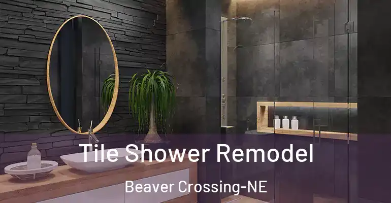 inner Bathroom imggen Tile Shower Remodel Beaver Crossing-NE