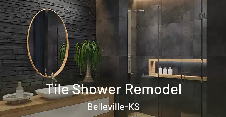 inner Bathroom imggen Tile Shower Remodel Belleville-KS